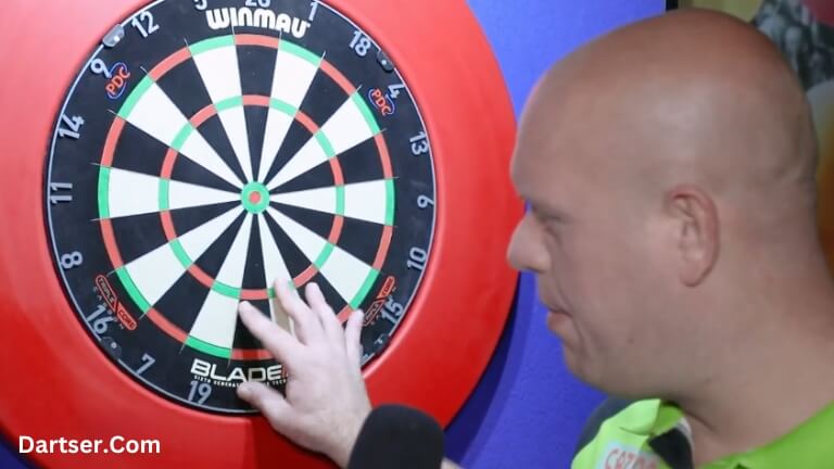 Winmau Dartboard with Surround